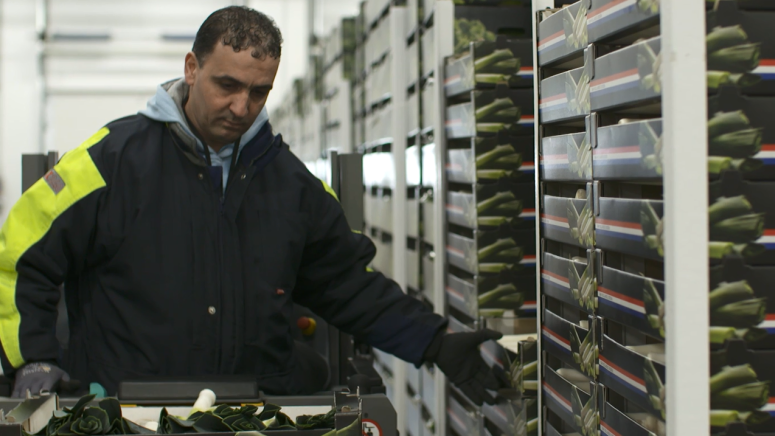 Onzecultuur_Imagegallery_FotoReda_2to1_1432x717